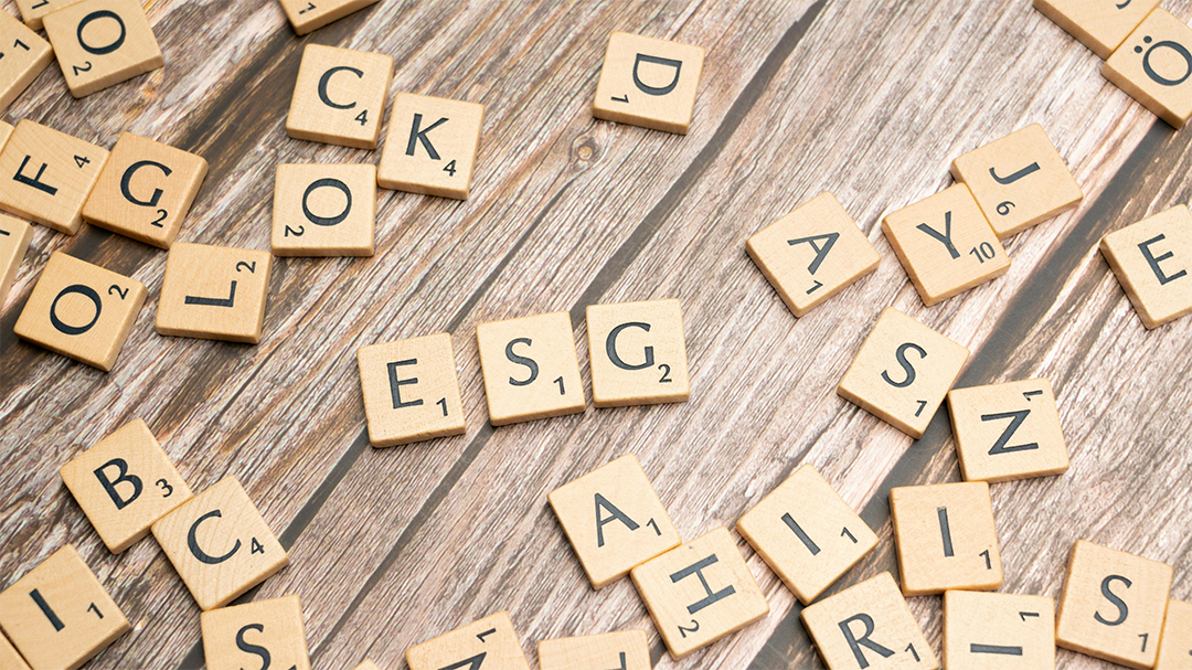 ESG e Investimento de Impacto: O Guia Definitivo para Investidores-Anjo