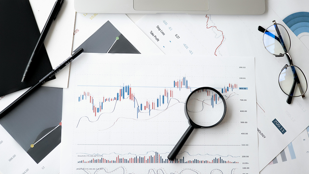 Análise de Risco de Startups: O Guia para Investidores Anjo